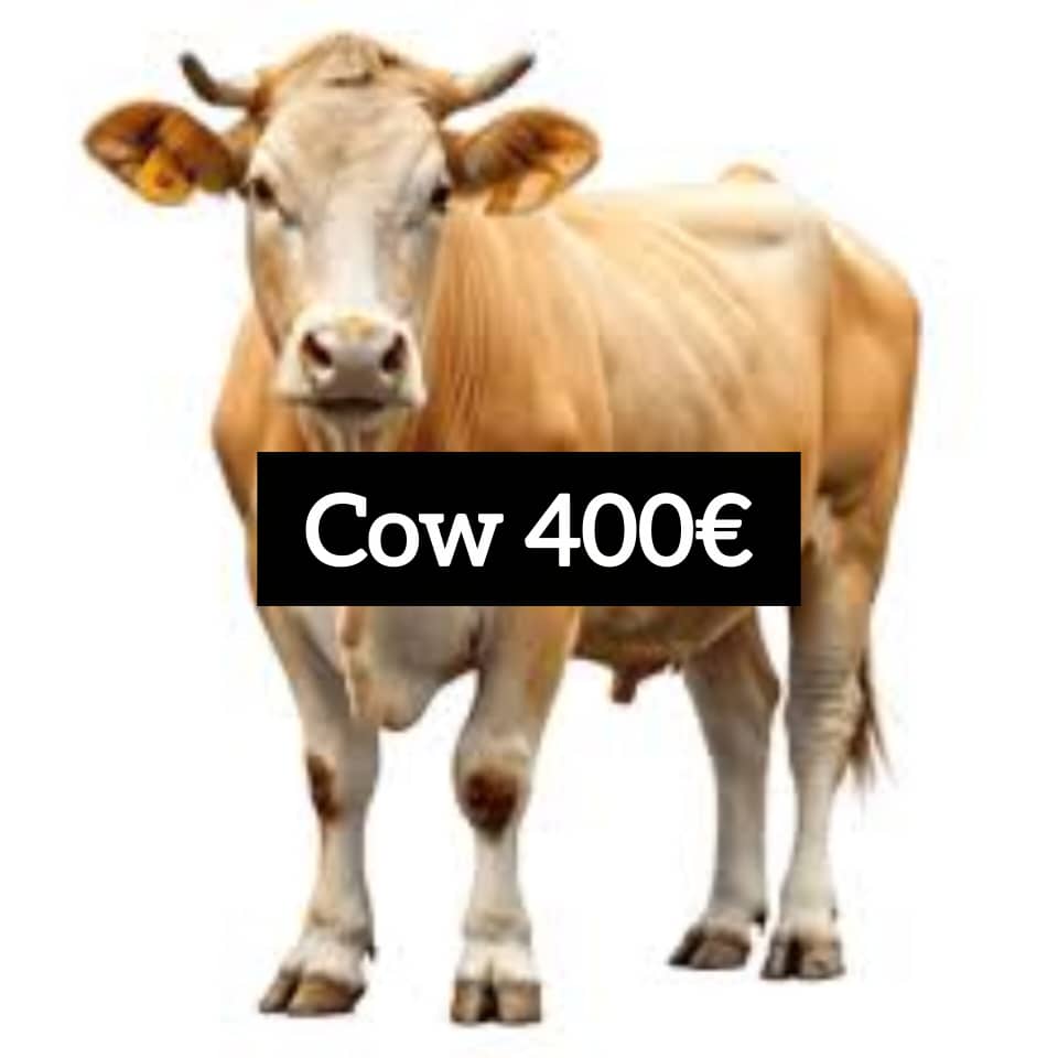 Qurbani Sacrifices - Image 3