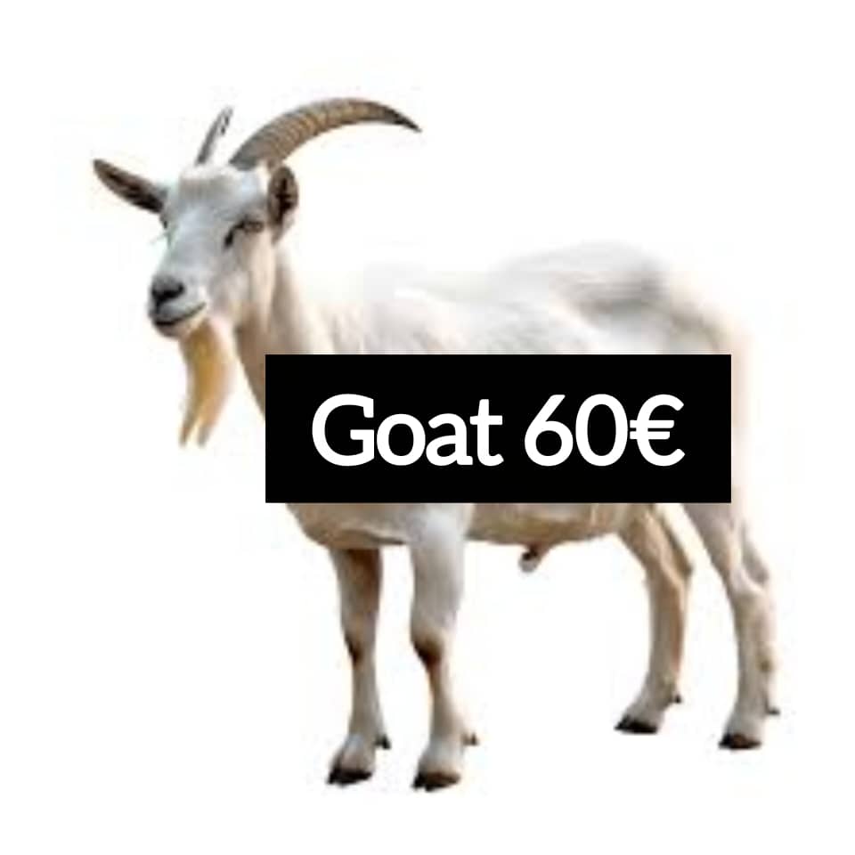 Qurbani Sacrifices - Image 1